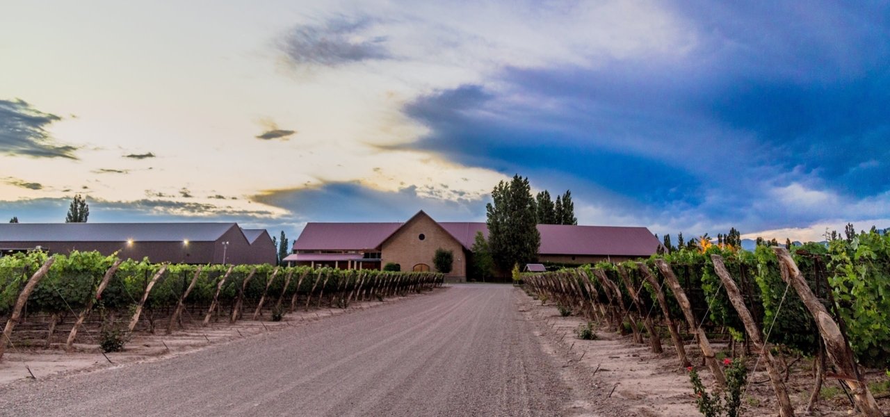 Dominio del Plata - Susasa Balbo Wines