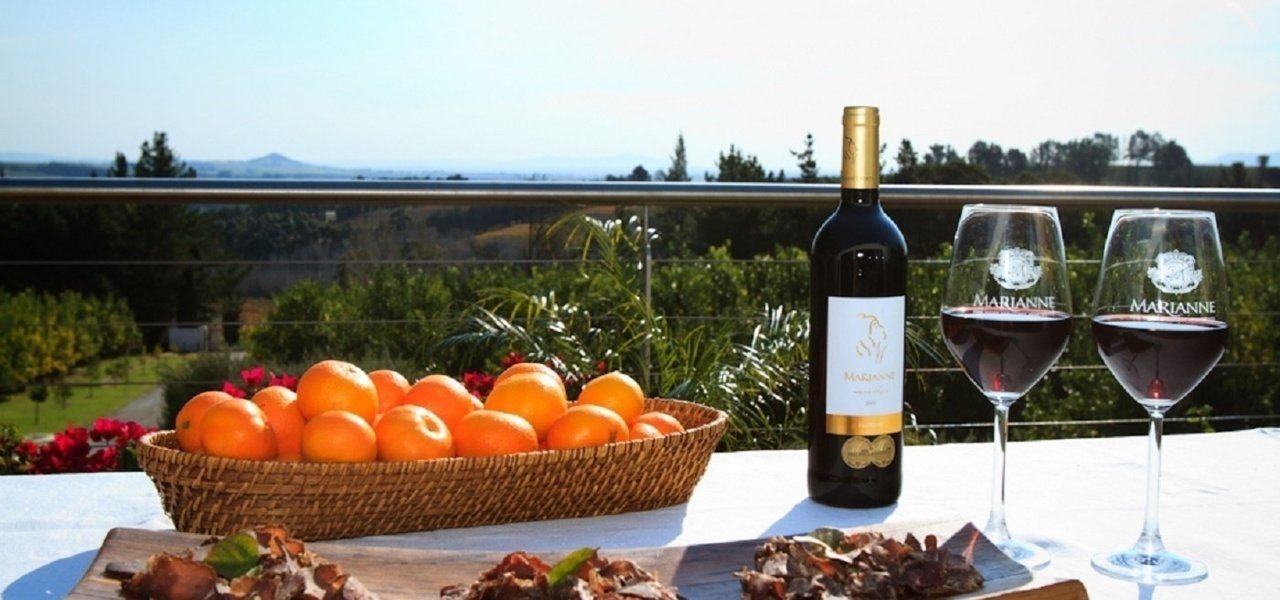 Vineyard Marianne estate