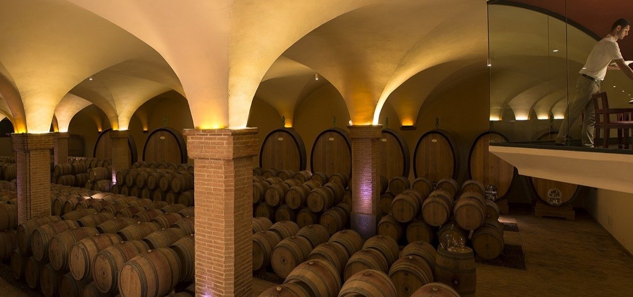 cellar visit at casteglion del bosco