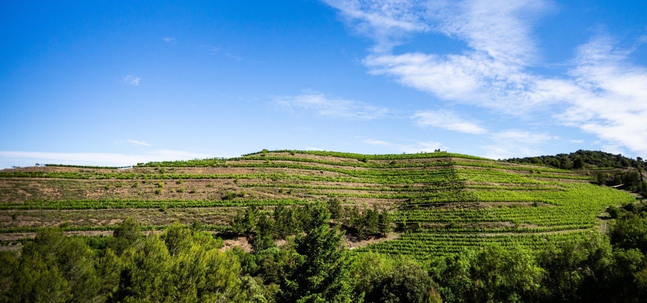 wine tasting perinet - Wine Paths