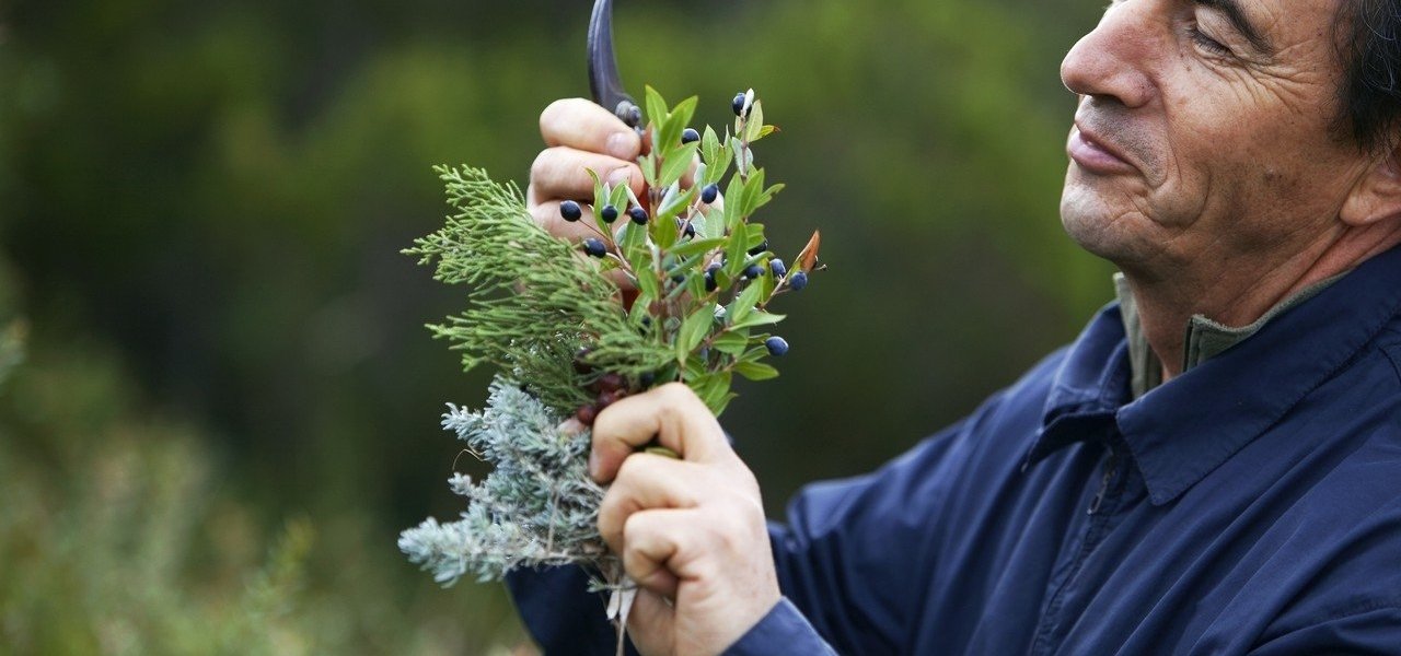 Botanic walk - Domaine de Murtoli