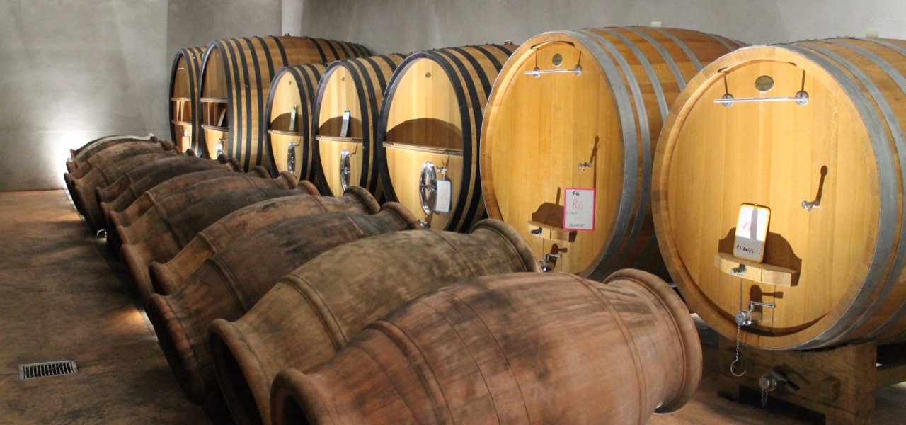 Wine tour in Corsica