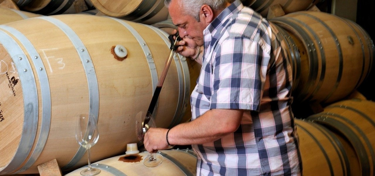 Private tour at Bodega Luis Cañas 