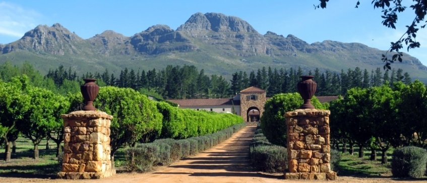 best wine tours - Wine Paths