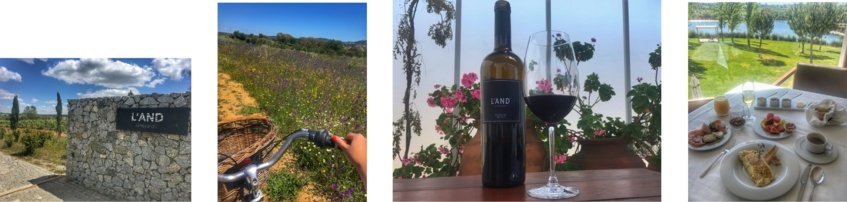 L'AND winery - Wine Paths