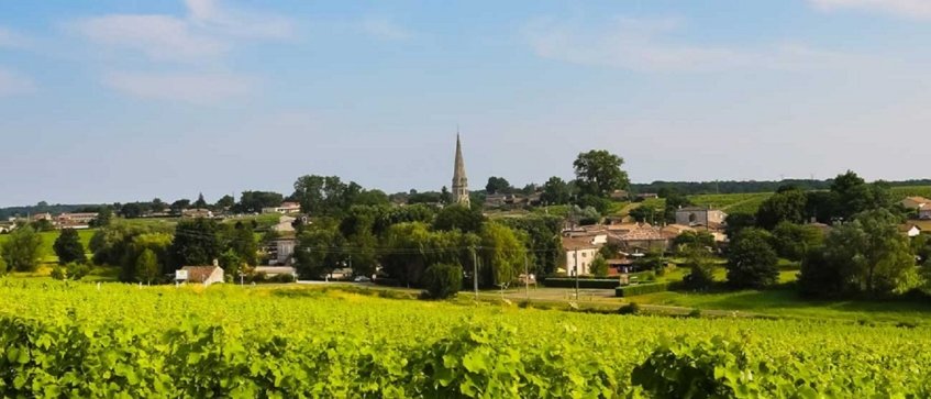 best bordeaux wine tours - Wine Paths