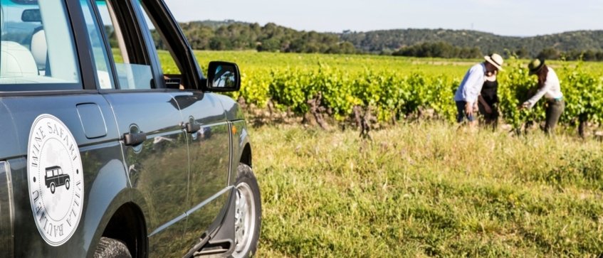 best wine tours - Wine Paths