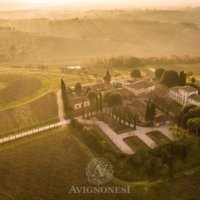 Avignonesi – Fattoria Le Capezzine