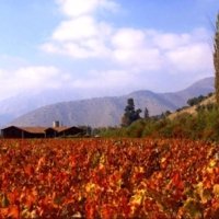 visit Viña von Siebenthal