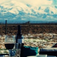 Jorge, Argentina Local Expert