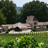 Partner Luxury Guest House in the vineyard photo