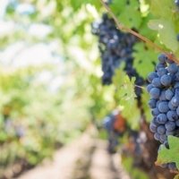 Miryam, Andalusia Local Expert