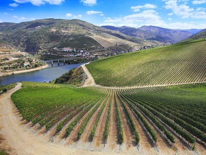 best wine tours in douro valley - Wine Paths